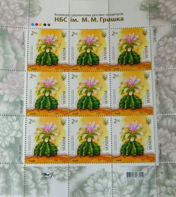 Гімнокаліціум анізіції