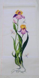 Ірис