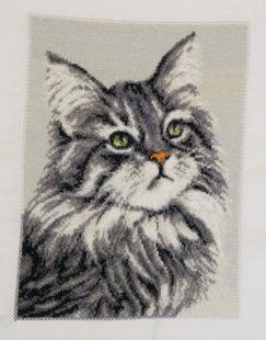 Кошеня