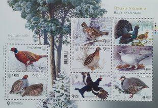 Птахи України Куроподібні